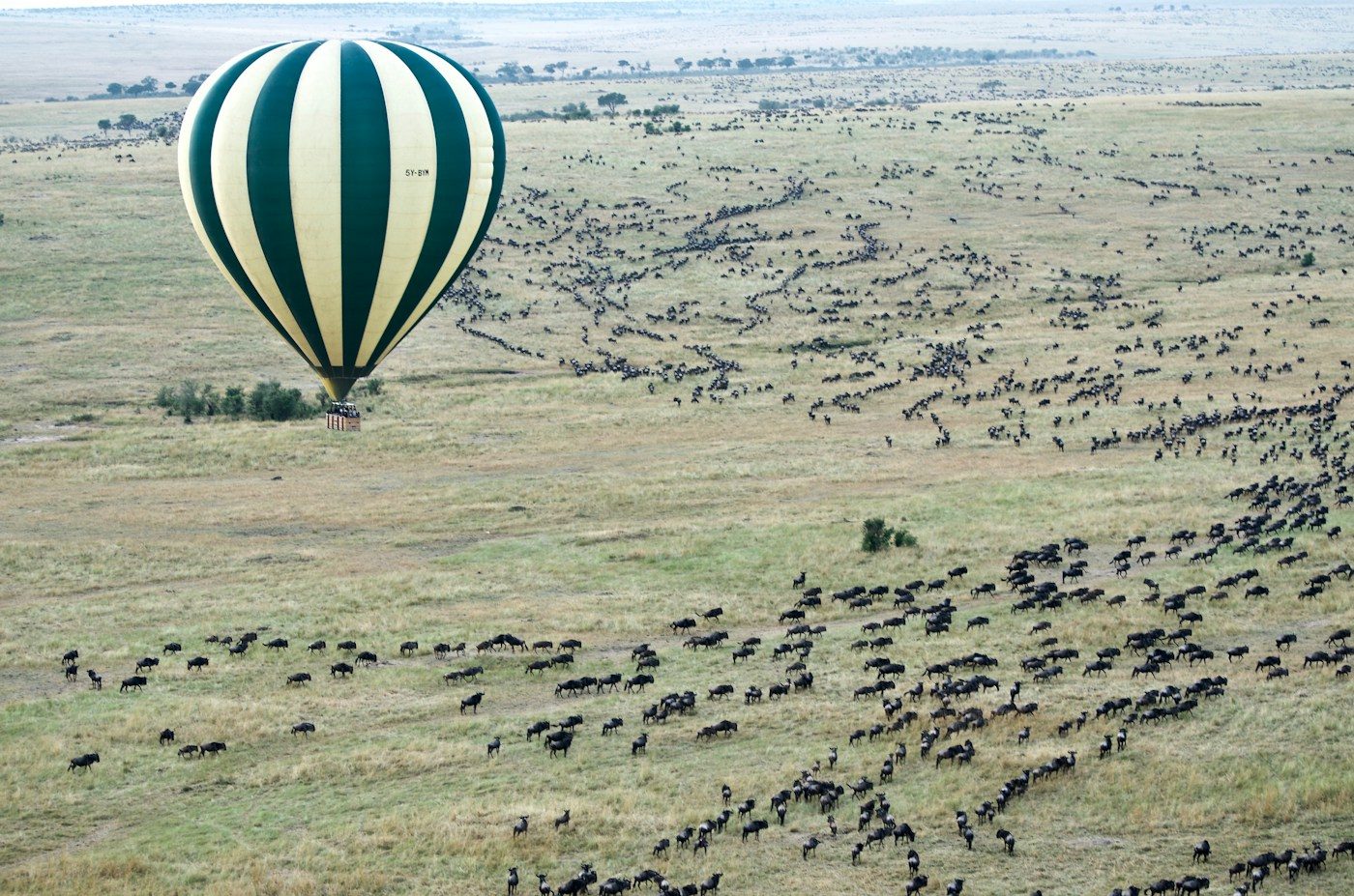 Hot air balloon drifting over the Serengeti at sunrise