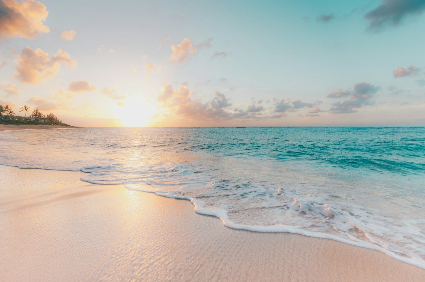 Palm-fringed beach at sunset on Zanzibar