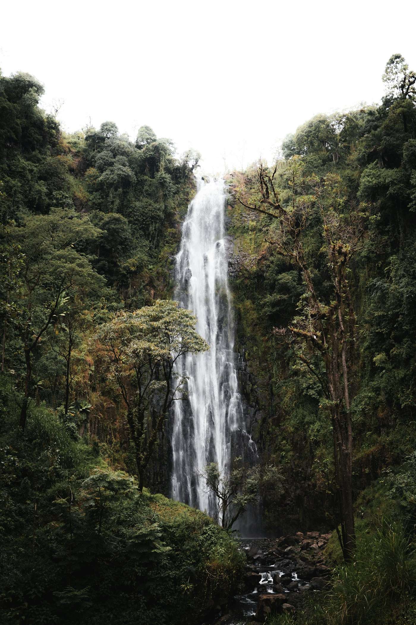 The Materuni waterfall dropping into a forest pool