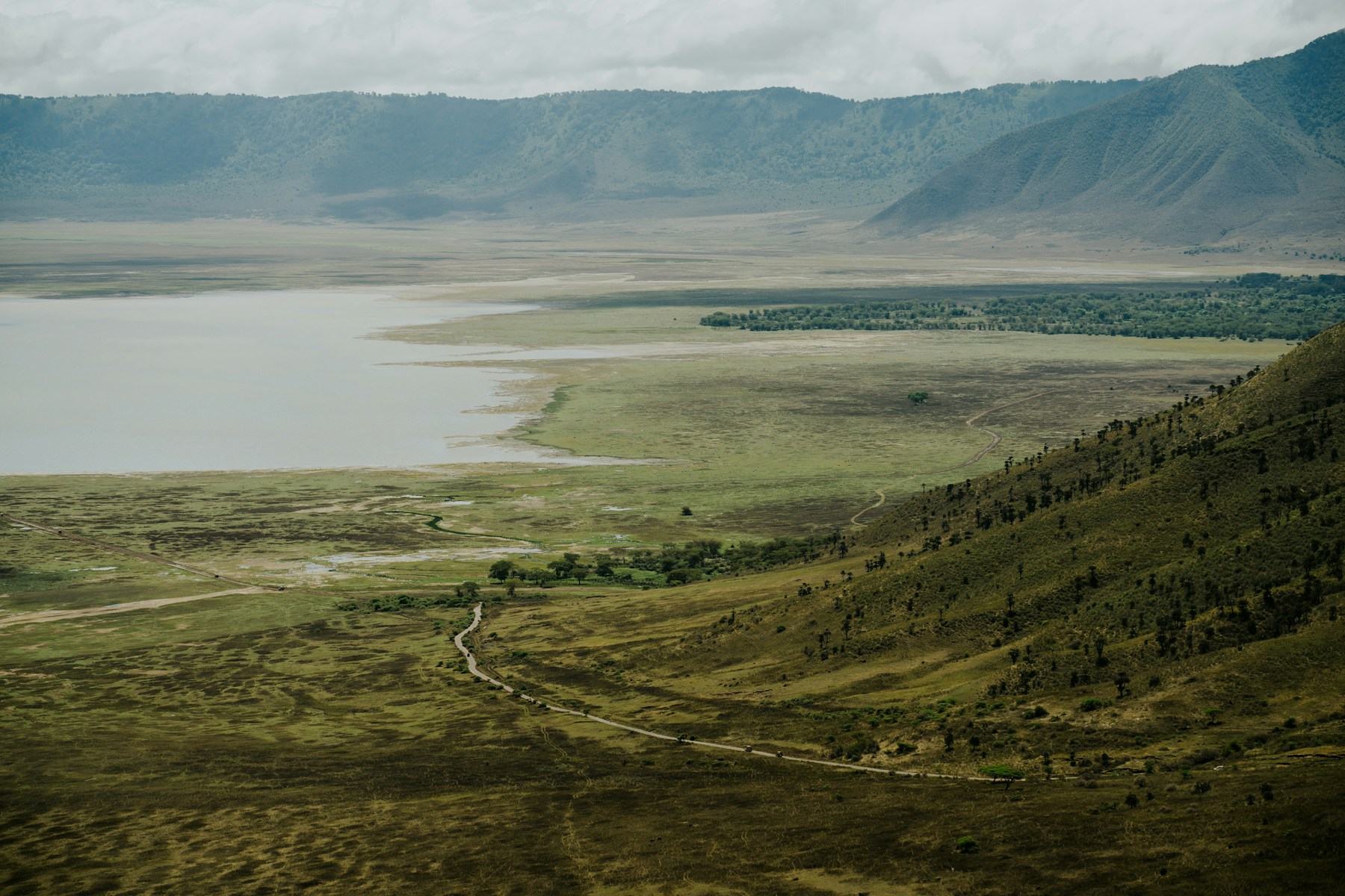 Panoramic view across the Ngorongoro Crater floor