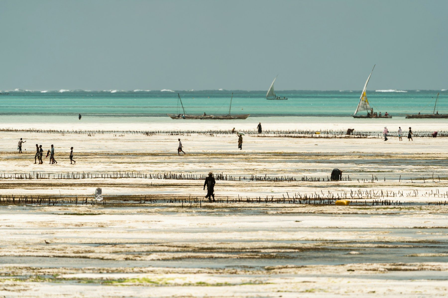 Dhows on the white sand at Nungwi beach, Zanzibar